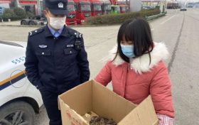 警民联手救助一只国家二级保护动物缩略图 警民联手救助一只国家二级保护动物缩略图