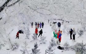 岁暮天寒 风雪至归,快来汉江源一睹冬雪风采缩略图 岁暮天寒 风雪至归,快来汉江源一睹冬雪风采缩略图