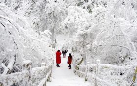 汉江源邀您裹握风雪，畅意起行缩略图