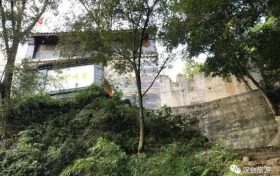“阳”了后你还在“咳咳咳”吗?缩略图 “阳”了后你还在“咳咳咳”吗?缩略图