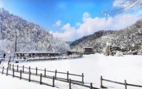 今日小寒缩略图 今日小寒缩略图