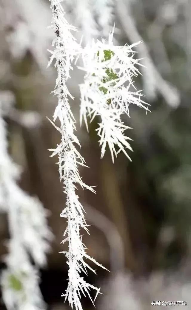 汉江源的冬天很美，雪景、冰瀑、雾凇……插图6