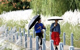 新冠恢复期应注意补充营养避免熬夜缩略图 新冠恢复期应注意补充营养避免熬夜缩略图