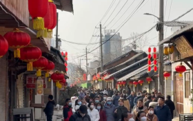 舞龙、舞狮、民族舞…汉台家门口的年味正浓缩略图