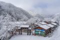 降温要来了！1月11日—15日陕西多雨雪天气 陕北降温8-10 ℃缩略图