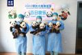 陕西2022年成功繁育7只大熊猫缩略图