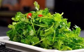 不爱吃香菜?可能是基因在作怪缩略图 不爱吃香菜?可能是基因在作怪缩略图