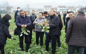 汉中这项技术全国领先!产品在全国14个省市推广→缩略图 汉中这项技术全国领先!产品在全国14个省市推广→缩略图