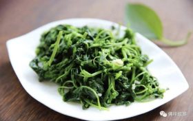 好吃又养生!春天这几种野菜,每一种都有独特的功效!缩略图 好吃又养生!春天这几种野菜,每一种都有独特的功效!缩略图