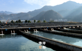 点赞!佛坪这一项目入国家农业标准化示范区项目→缩略图 点赞!佛坪这一项目入国家农业标准化示范区项目→缩略图