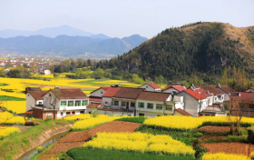 2023中国最美油菜花海汉中旅游文化节将于3月中旬开幕!缩略图 2023中国最美油菜花海汉中旅游文化节将于3月中旬开幕!缩略图