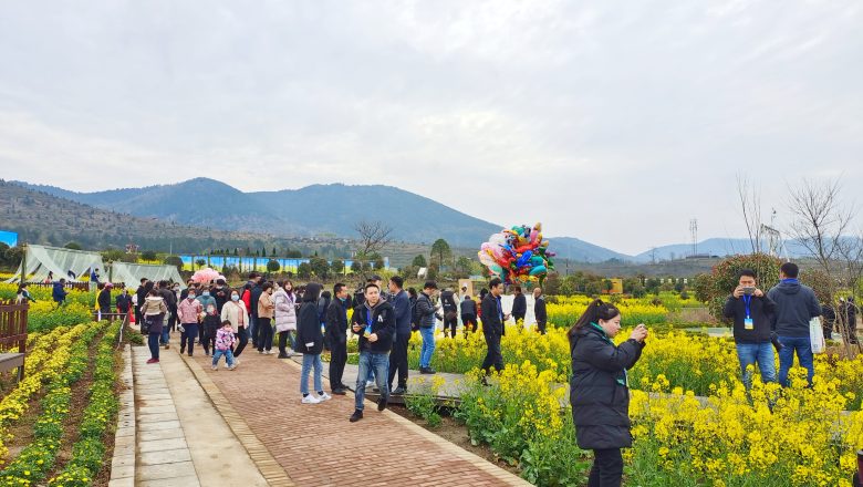 2023中国最美油菜花海汉中旅游文化节盛大开幕插图3