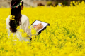 油菜花节倡议书缩略图