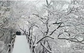 下雪了！汉中好多地方下雪了！缩略图