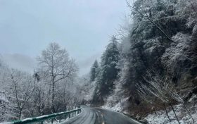 春雪别冬,触处花开!缩略图 春雪别冬,触处花开!缩略图