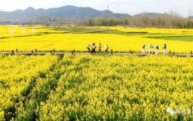春燥当前 这些食疗方请收好缩略图