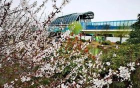 今天4时36分，正式进入……缩略图