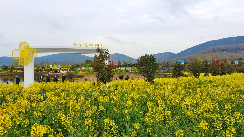 2023中国最美油菜花海汉中旅游文化节盛大开幕插图5
