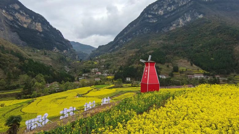 宁强县巴山栈道花海文化艺术季活动启动插图4