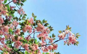 升温！升温！汉中向30℃发起进击！缩略图