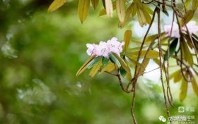 春游前,这份急救指南请先收好!缩略图 春游前,这份急救指南请先收好!缩略图