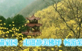 勿空跑！佛坪这里暂停开放→缩略图