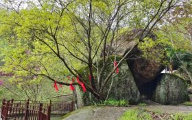 踏青赏春正当时,相约汉江源享受好春光缩略图 踏青赏春正当时,相约汉江源享受好春光缩略图