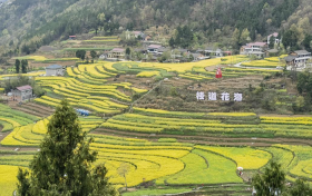 陕西移动汉中宁强分公司5G技术助力智慧文旅新突破缩略图 陕西移动汉中宁强分公司5G技术助力智慧文旅新突破缩略图