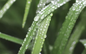 较强降雨过程来袭 陕西未来三天雨雨雨缩略图