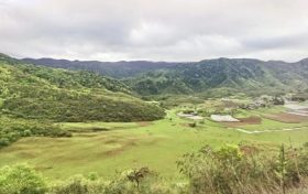 夏天来了，起居、饮食、运动有讲究缩略图