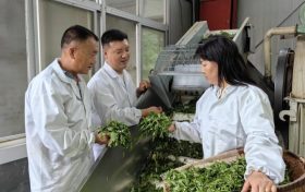 全国最美!汉中两户家庭入选!缩略图 全国最美!汉中两户家庭入选!缩略图