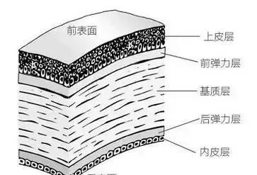 在汉中做近视手术，这几件事你一定得知道插图6