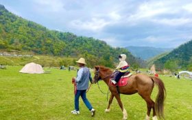 留坝避暑游持续升温，带火了“夏日经济”缩略图