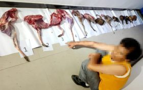 桑园派出所破获一起非法狩猎案缩略图 桑园派出所破获一起非法狩猎案缩略图