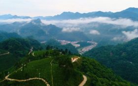 口腔溃疡苦不堪言?试试这5类药物缩略图 口腔溃疡苦不堪言?试试这5类药物缩略图