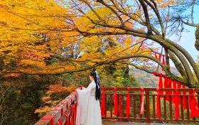 登山赏秋，汉江源马上迎来第一波浪漫秋色!缩略图
