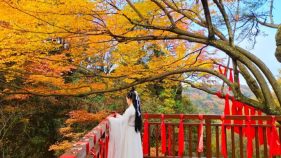 登山赏秋，汉江源马上迎来第一波浪漫秋色!缩略图