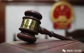 城固县人民法院审结了一起未成年人驾驶电动自行车致人损伤案件缩略图