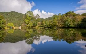 勉县: 元墩桥至宁强交界处（黄土岭）段在道路施工期间实行交通管制缩略图