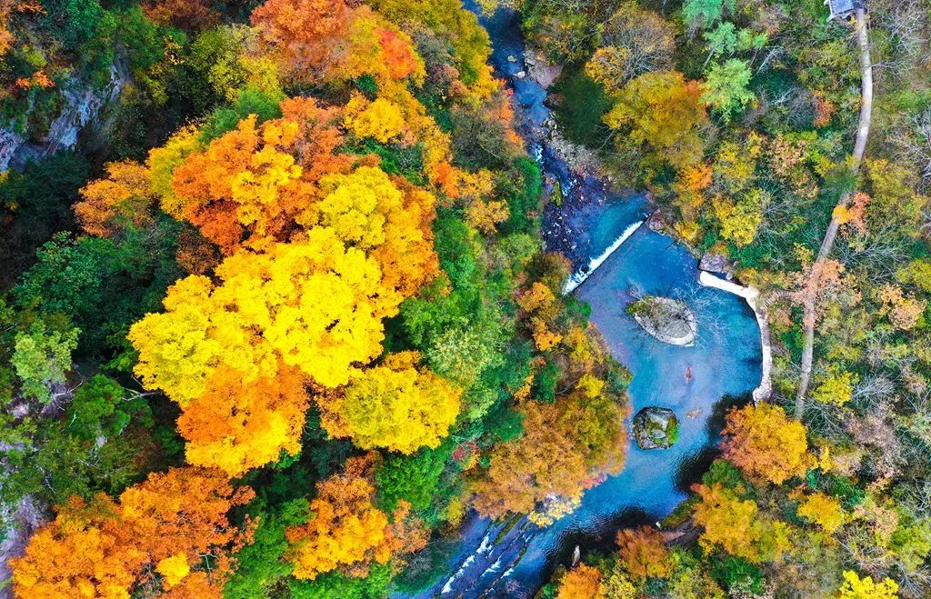 重磅！汉中这家4A景区全民免门票！