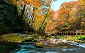 重磅!汉中这家4A景区全民免门票!缩略图 重磅!汉中这家4A景区全民免门票!缩略图