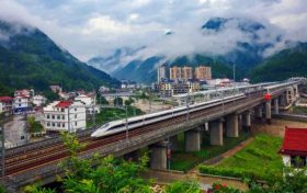 佛坪荣获这一国家级荣誉→缩略图 佛坪荣获这一国家级荣誉→缩略图
