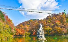 值得奔赴!汉江源彩林绝美上线!缩略图 值得奔赴!汉江源彩林绝美上线!缩略图