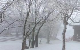 关于汉中龙头山景区12月5日—12月8日闭园的公告缩略图 关于汉中龙头山景区12月5日—12月8日闭园的公告缩略图