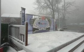 汉江源下雪啦！这个冬天的第一场雪缩略图