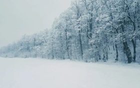 陕西最新预警!气温创新低!这些区域还有雨雪→缩略图 陕西最新预警!气温创新低!这些区域还有雨雪→缩略图