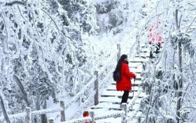 今冬赏雪就到汉江源，玻璃天桥免费玩！缩略图
