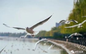 奔赴汉台,来场暖冬之旅!缩略图 奔赴汉台,来场暖冬之旅!缩略图