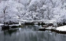 满大街都是！冲锋衣成“新晋顶流”？缩略图