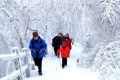 随着冷空气的抵达，陕西迎来一份雨雪、降温、吹风天气过程缩略图